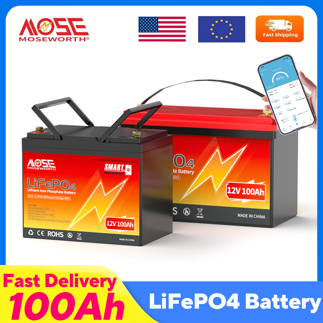 Lifepo4 12V 100Ah Bms Bluetooth - MOSEWORTH LiFePO4 12V 100Ah batterie 12.8V